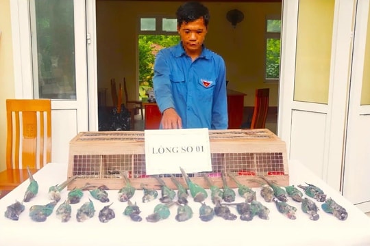 Bắt giữ 5 đối tượng vận chuyển trái phép động vật sang biên giới