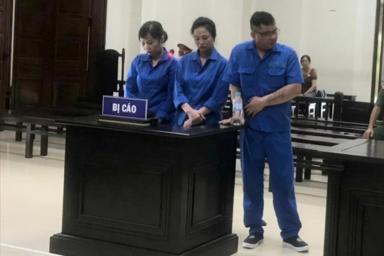 Cái kết của những kẻ muốn làm giàu nhanh