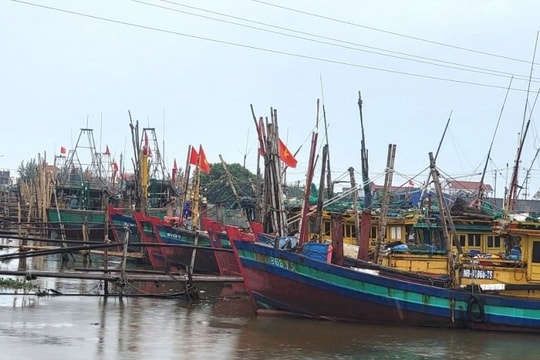 Nam Định, Thái Bình chủ động phòng chống bão số 2