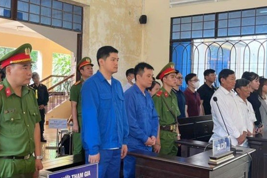 Phó giám đốc, lái xe Thành Bưởi lĩnh án