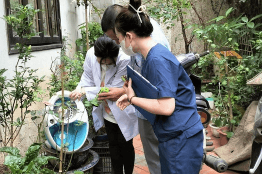 Sốt xuất huyết, ho gà gia tăng trên địa bàn Hà Nội