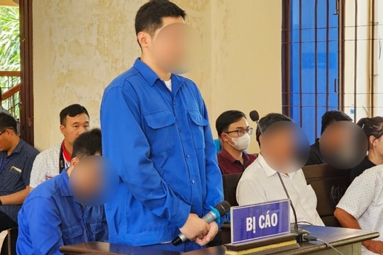Phó Giám đốc Công ty Thành Bưởi và tài xế lĩnh án