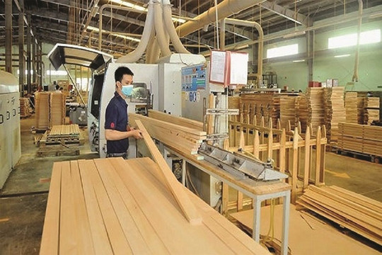 Xuất khẩu gỗ và sản phẩm gỗ Việt Nam đạt trên 8,1 tỷ USD