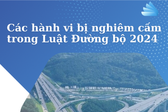 Các hành vi bị nghiêm cấm trong Luật Đường bộ 2024