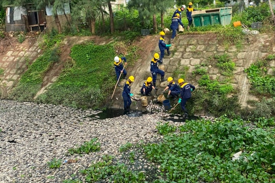 Lấy mẫu nước xác định tình trạng cá chết trên hồ
