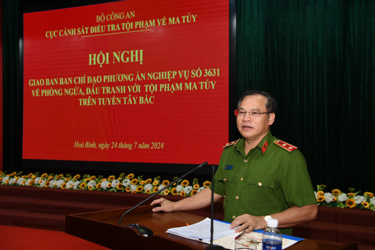 Phá nhổ hơn 10.000 cây có chứa chất ma túy trên tuyến Tây Bắc