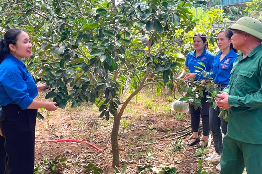 Người thương binh “Dũng cảm trong thời chiến, là gương sáng trong thời bình”