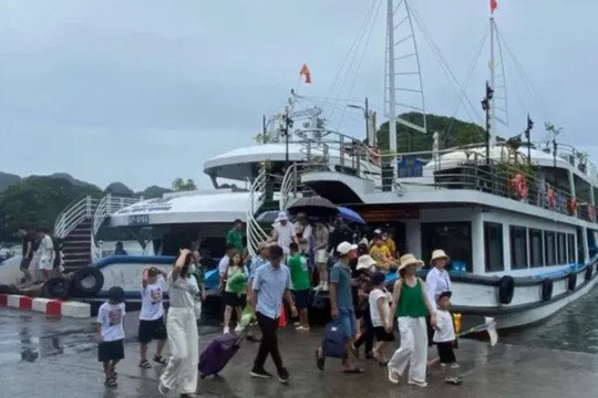 Hải Phòng: Du khách mắc kẹt tại đảo Cát Bà vì bão