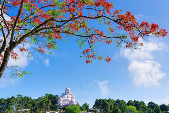 Hè về, Thiên Cấm Sơn rực rỡ sắc màu