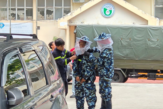 Gỡ thành công tổ ong ở trường Đại học TP.HCM