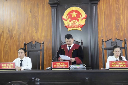 Người đàn ông bị phạt 171 triệu đồng, 4 năm tù vì phá rừng