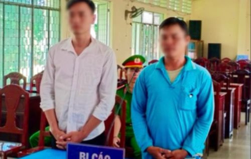 Rủ nhau đi trộm mai cảnh để bán lấy tiền tiêu xài