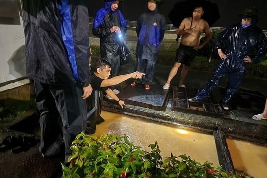 TP Hạ Long ứng phó với mưa lũ do mưa lớn kéo dài