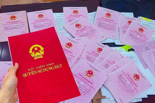 Cấp đổi Giấy chứng nhận quyền sử dụng đất từ 1/8