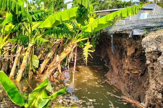Bạc Liêu: Khuyến cáo tình trạng sạt lở, sụt lún đất