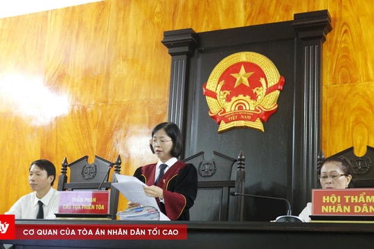 Tòa án TP. Móng Cái tổ chức phiên tòa dân sự về tranh chấp quyền sử dụng đất