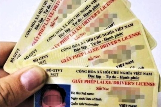 Chi tiết các trường hợp vi phạm bị đề xuất trừ điểm giấy phép lái xe