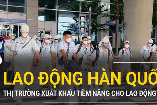 Cảnh báo lừa đảo xuất khẩu lao động, du lịch miễn thị thực
