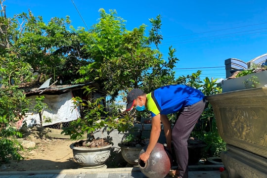 Số ca bệnh sốt xuất huyết tăng mạnh ở Huế