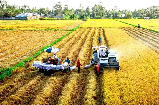 Xuất khẩu gạo đạt gần 3,3 tỷ USD