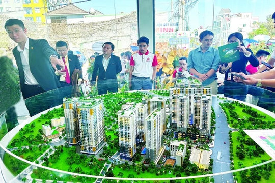Cá nhân kinh doanh bất động sản không được mua bán quá 10 lần một năm