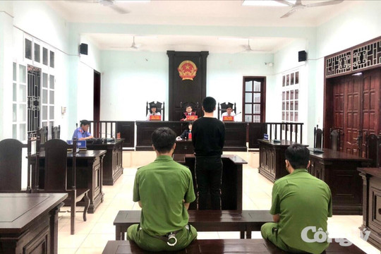 Quyết định hình phạt trong trường hợp đồng phạm