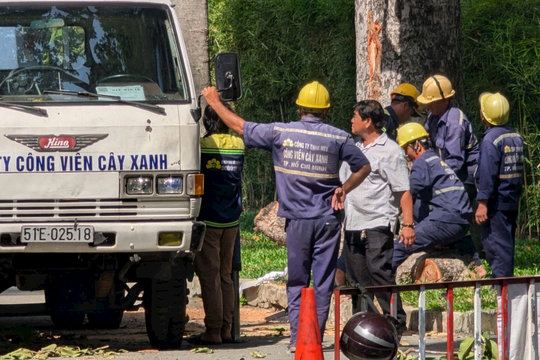 Gãy nhánh cây ở công viên Tao Đàn đè chết 2 người