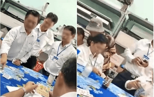 Hiệu Trưởng bị đề nghị kỷ luật vì để giáo viên, nhân viên đánh bài trong thư viện