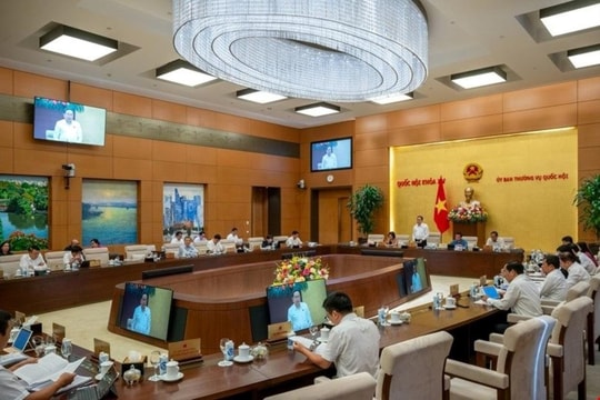 Sáng nay, UBTVQH cho ý kiến dự án Luật Phòng, chống mua bán người (sửa đổi)