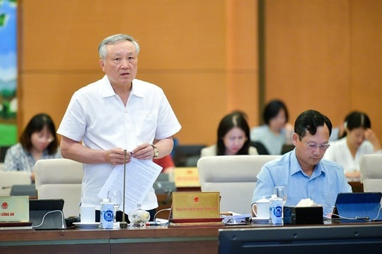 Xây dựng đạo luật chuyên biệt và toàn diện về tư pháp người chưa thành niên