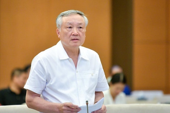 Chánh án Nguyễn Hòa Bình: Cần tách vụ án có người chưa thành niên