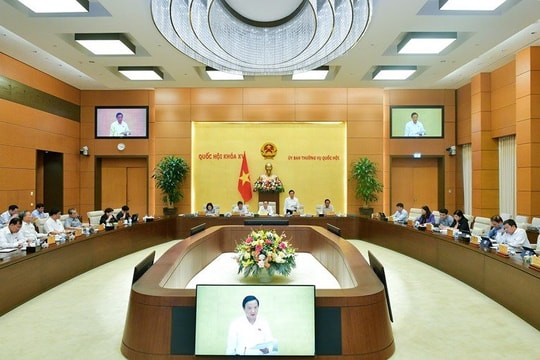 Cần có chính sách riêng cho người chưa thành niên phạm tội