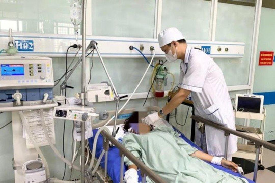 Thiếu nữ nguy kịch vì bị ong rừng đốt