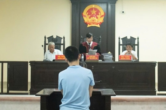 Thuê ô tô vận chuyển bò trộm cắp đi tiêu thụ