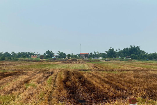 Xử lý nghiêm tình trạng đốt rơm rạ sau thu hoạch