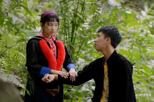 Phim "Đi giữa trời rực rỡ" gây sốt