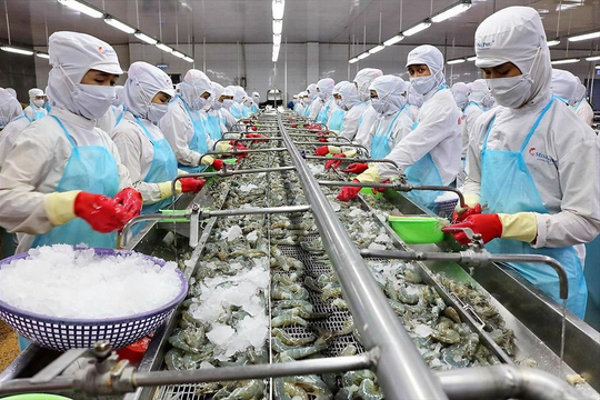 7 tháng, thủy sản Việt Nam xuất khẩu sang Nga tăng 105%