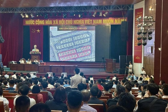 Xác minh tình trạng "sốt" đất đấu giá Hoài Đức, Thanh Oai