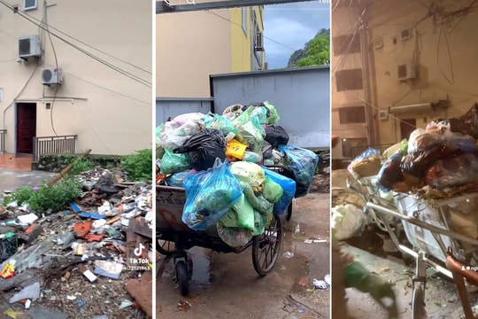 Bãi rác bất hợp lý giữa lòng thành phố du lịch