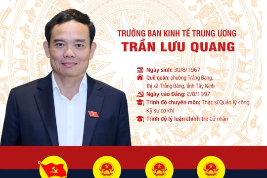 Tiểu sử Trưởng Ban Kinh tế Trung ương Trần Lưu Quang