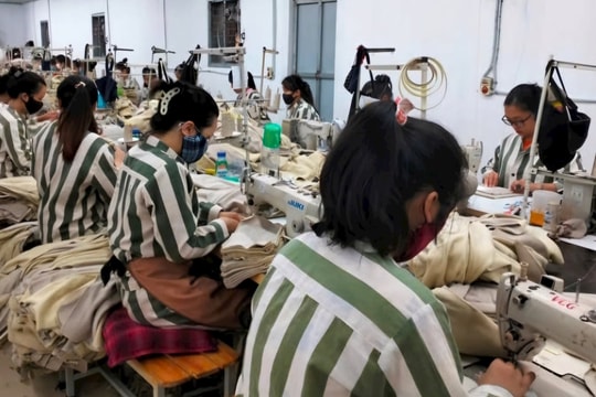 Nhiều phạm nhân được tha tù trước thời hạn dịp Quốc khánh 2/9