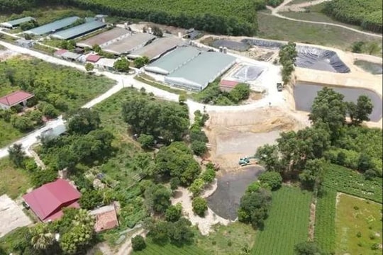 Một trại lợn bị xử phạt gần 300 triệu đồng vì vấn đề môi trường