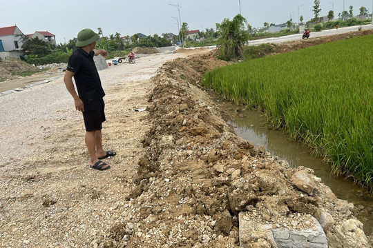 Thanh Hóa: Dự án hạ tầng khu dân cư Đông Quang thi công nhầm sang đất trồng lúa của dân?