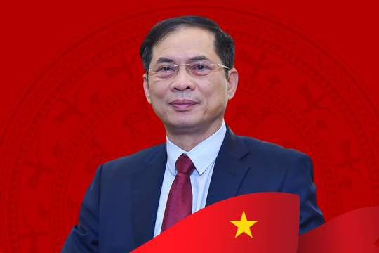 Tiểu sử Phó Thủ tướng Chính phủ Bùi Thanh Sơn