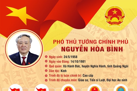 Tiểu sử Phó Thủ tướng Chính phủ Nguyễn Hòa Bình