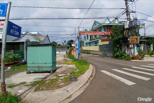 Bắt quả tang hàng chục đối tượng đánh bạc dưới hình thức xóc đĩa