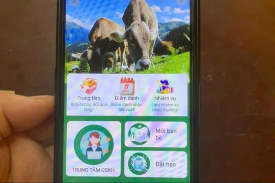 'Nuôi bò' online, người phụ nữ suýt bị lừa hàng trăm triệu đồng
