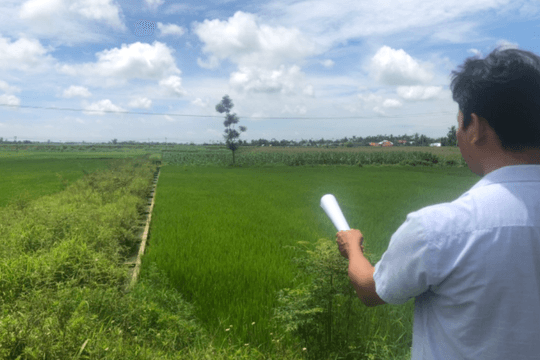 Nghiệm thu dồn điền đổi thửa hơn 6 năm, 695 thửa đất chưa cấp 'sổ đỏ' cho dân