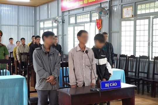 Xét xử lưu động vụ án hủy hoại rừng ở Kon Tum