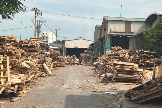 Hải An (Hải Phòng): Người dân lo lắng về một cơ sở chế biến gỗ